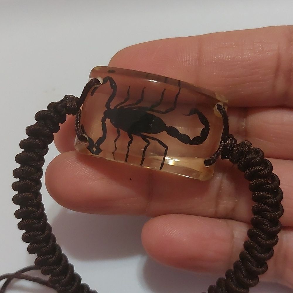 Preserved Real Black Scorpion Brown Adjustable Cord Bracelet - Picture 2 of 5
